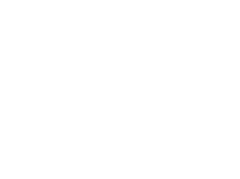 fintech-white